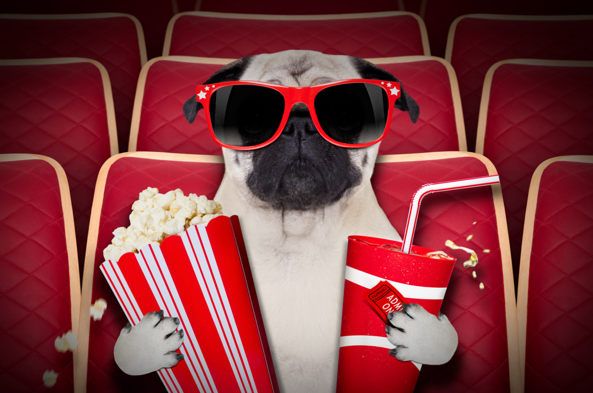 Dog movie discount on netflix 2018