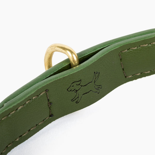 Two Tags + Two Collars Bundle