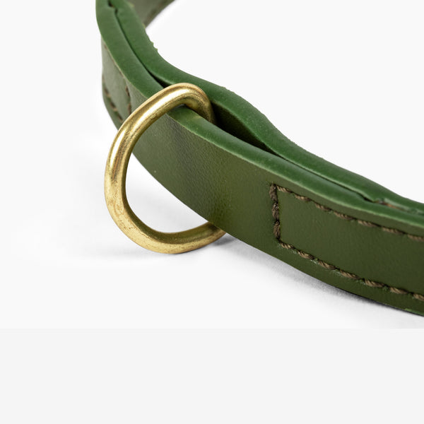 Two Tags + Two Collars Bundle