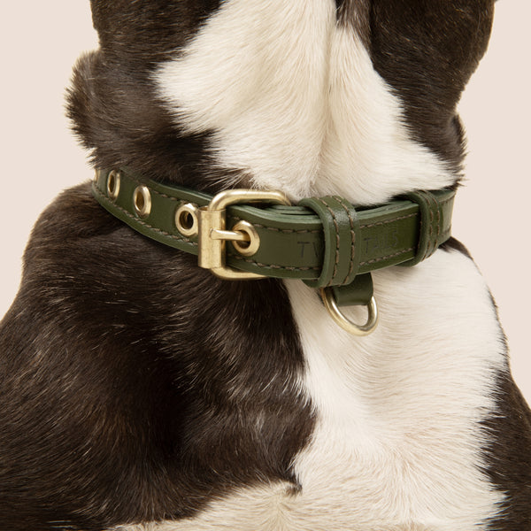 Two Tags + Two Collars Bundle