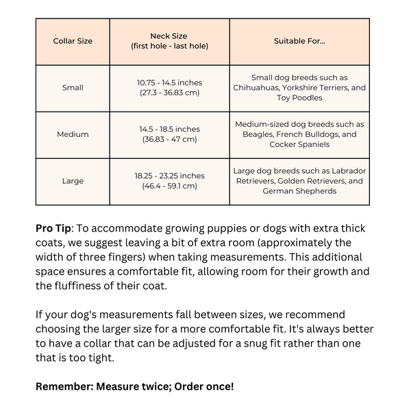 Two Tags + Two Collars Bundle