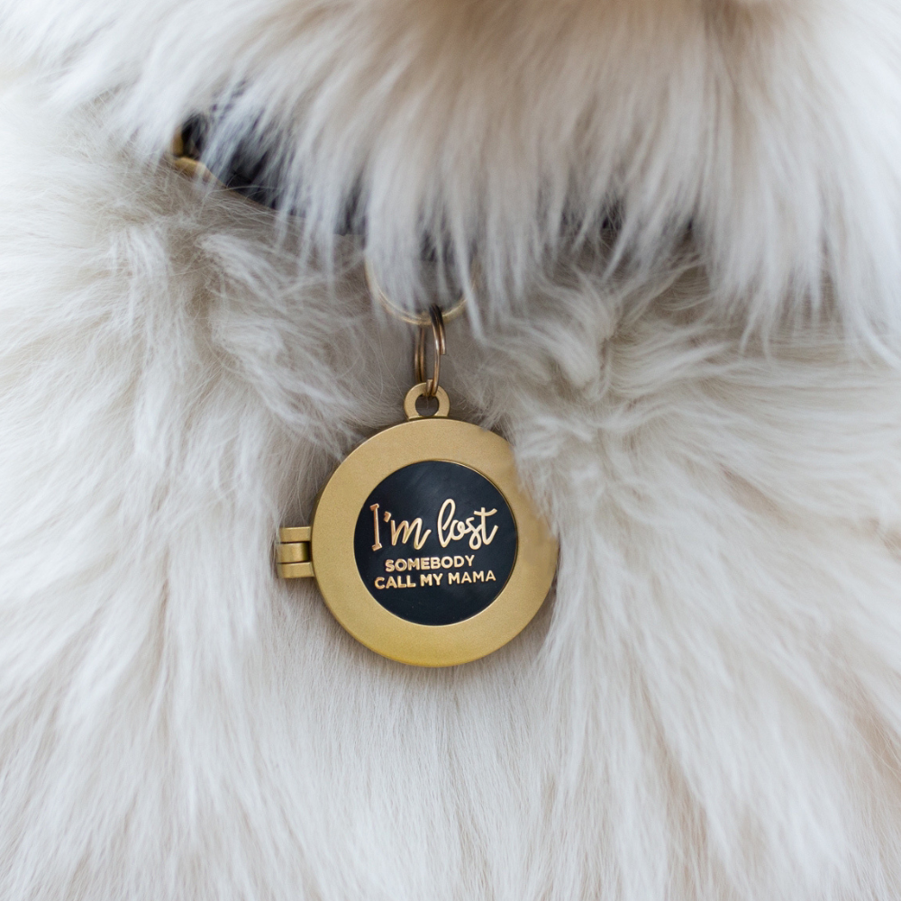 Pet ID Tag Locket – Two Tails Pet Company