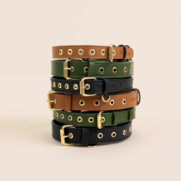 Two Tags + Two Collars Bundle