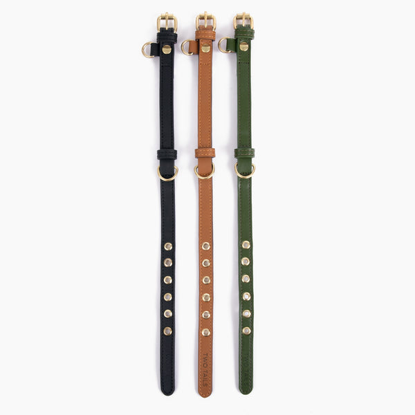 Two Tags + Two Collars Bundle