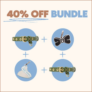 Two Tags + Two Collars Bundle