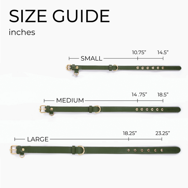 Two Tags + Two Collars Bundle