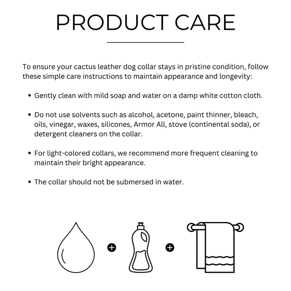 Two Tags + Two Collars Bundle