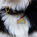 Rainbow Pet ID Tag