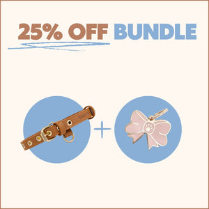 One Tag + One Collar Bundle
