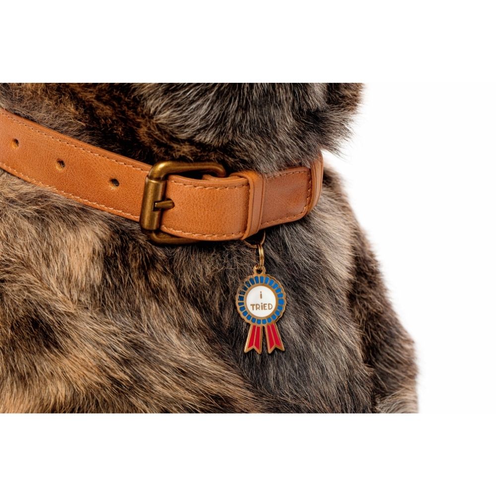 I Tried Pet ID Tag – Two Tails Pet Company