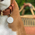 Pet ID tag hanging on a collar worn by a brown and white dog. It is made of gold plated brass and white enamel that reads 'Nap Hard, Play Hard'.