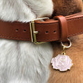 Pet ID tag hanging on a collar worn by a brown and white dog. It is made of gold plated brass and pink enamel that is shaped like a rose.
