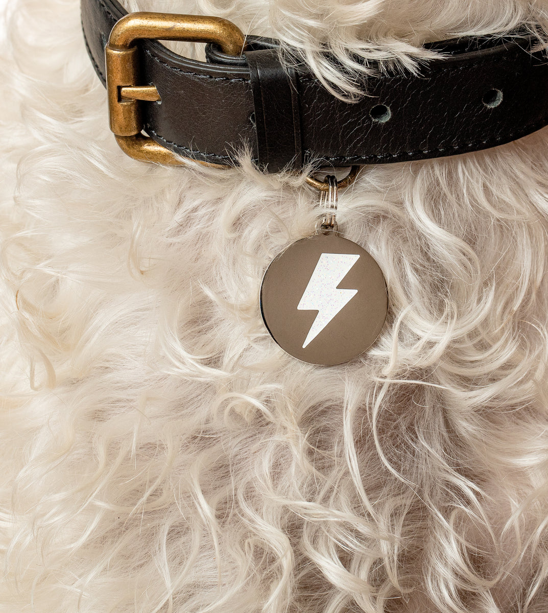 Dog collar with lightning sales bolts