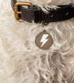 Lightning Bolt - Silver & White - Pet ID Tag
