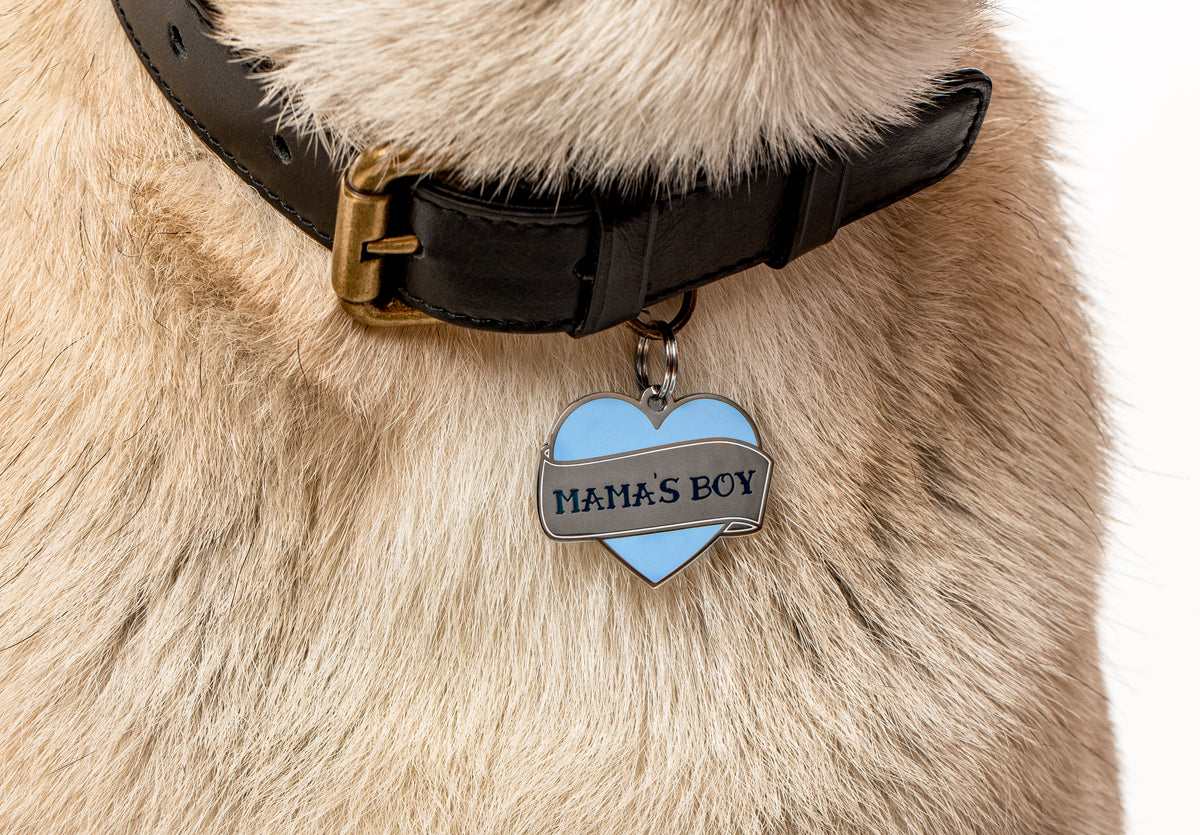 Dog Tag Art Mamma's Girl Personalized Pet ID Tag For Dogs And