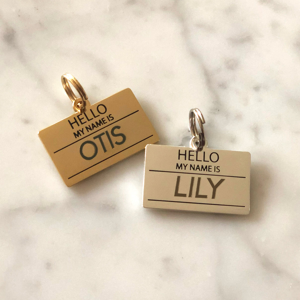 Hello My Name is Blank - Silver - Pet ID Tag – Two Tails Pet Company