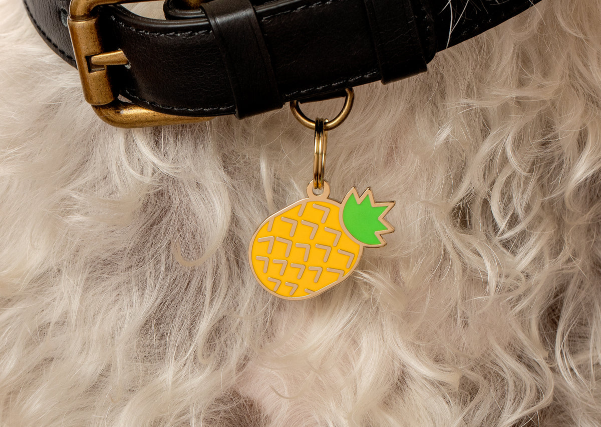 Pineapple dog outlet tag