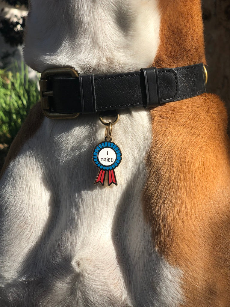 I Tried Pet ID Tag – Two Tails Pet Company