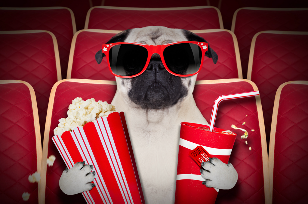 8 Dog Movies on Netflix