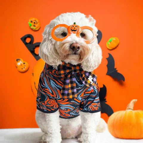 Halloween Pet Safety Tips: Keep Your Dogs and Cats Safe and Stylish