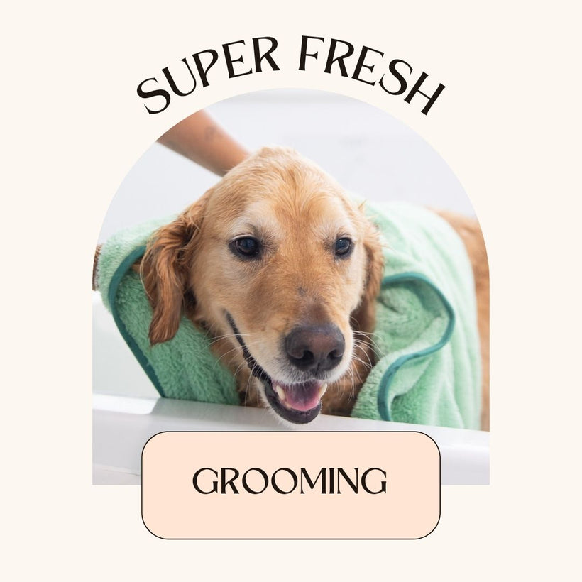 Grooming Products