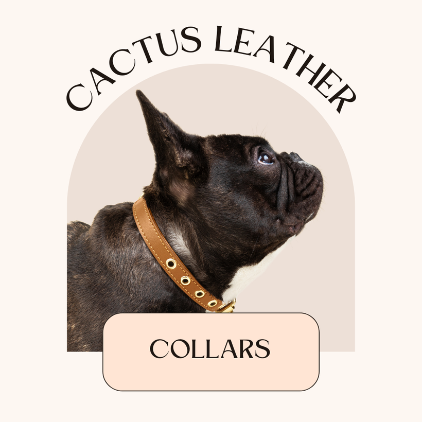 Collars