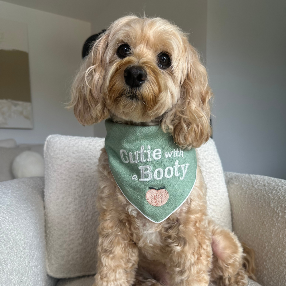 Cutie with a Booty - Bandana