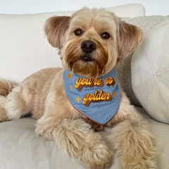 You're So Golden - Bandana