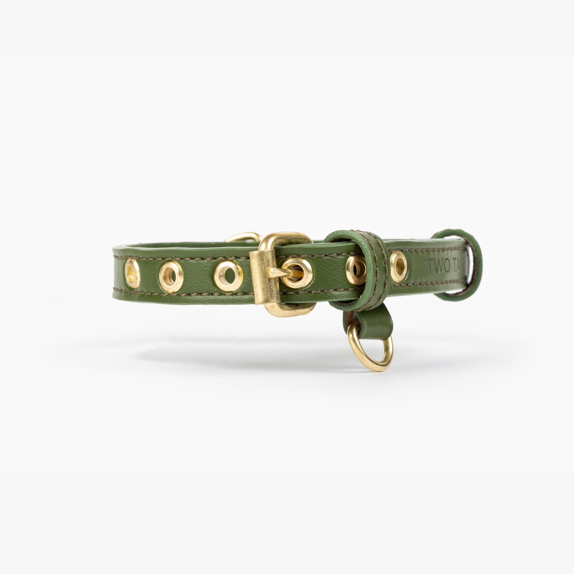 Cactus dog collar and leash best sale