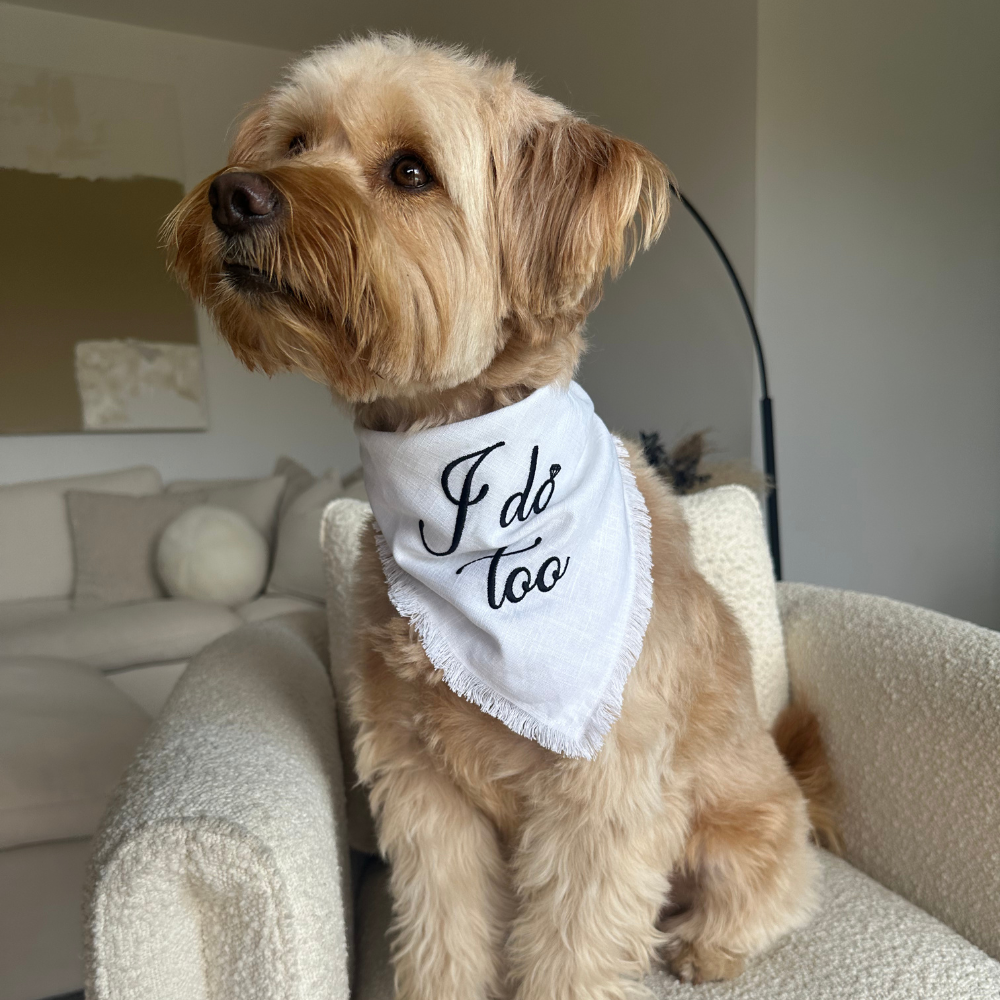 I Do, Too - Bandana