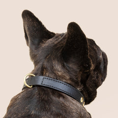 Concha Black Leather Collar - Tails in the City