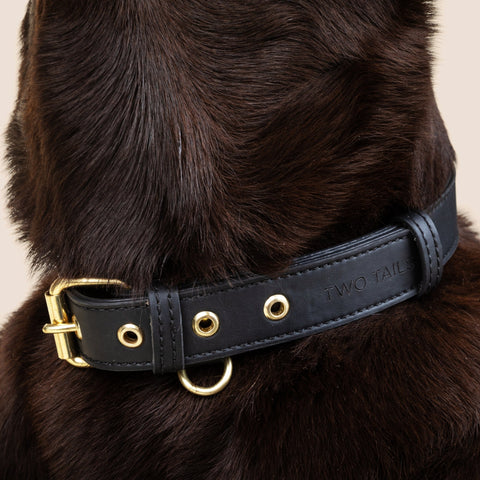 Cactus Leather Collar - Black