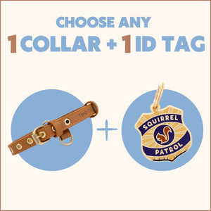 One Tag + One Collar Bundle