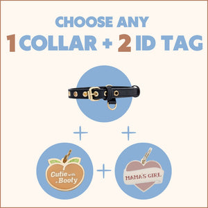Two Tags + One Collar Bundle