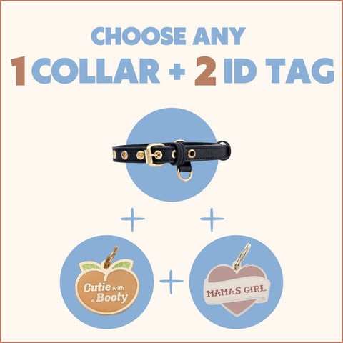 Two Tags + One Collar Bundle