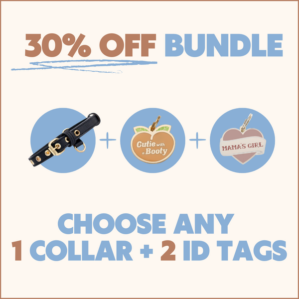 Two Tags + One Collar Bundle