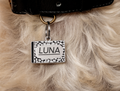 Notebook Pet ID Tag