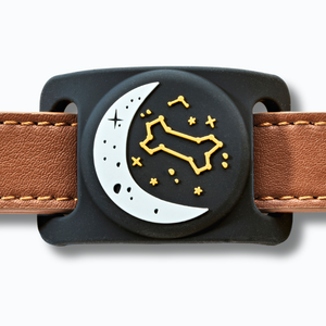 Zodiac Airtag Holder for Dog Collars