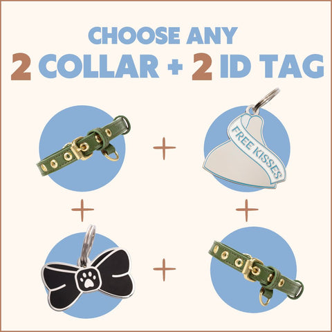 Two Tags + Two Collars Bundle