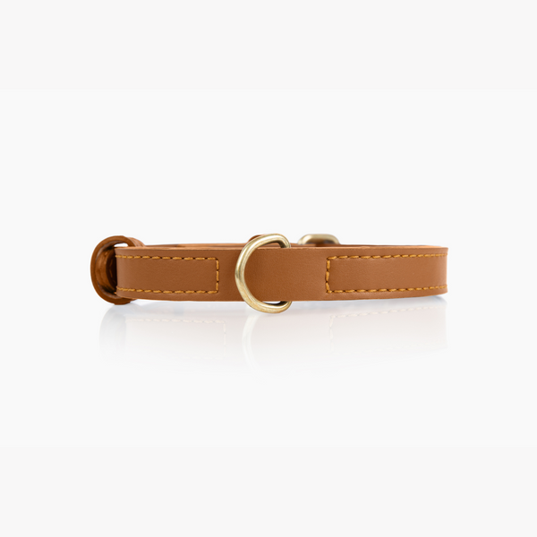 Two Tags + Two Collars Bundle