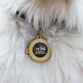 Pet ID Tag Locket