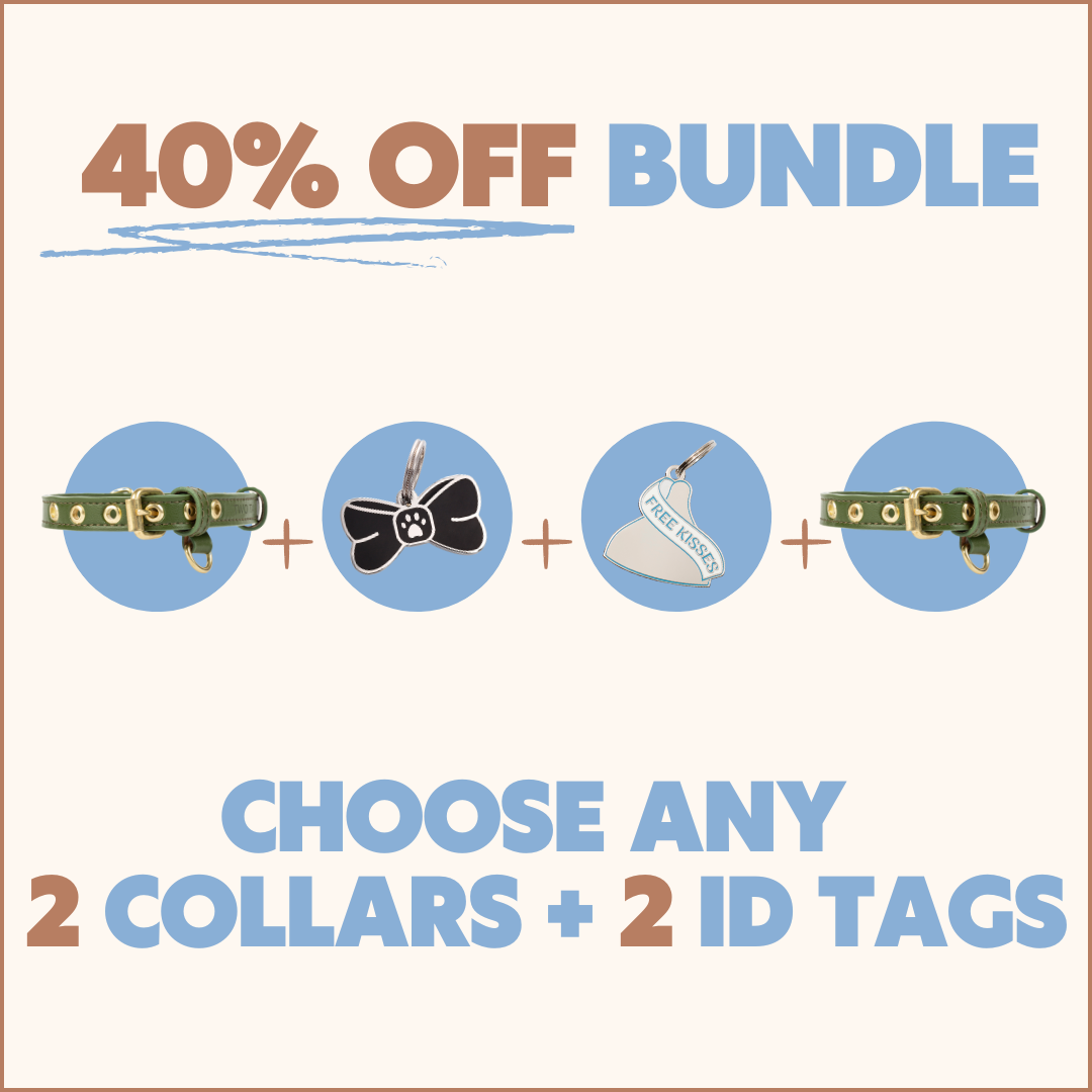 Two Tags + Two Collars Bundle
