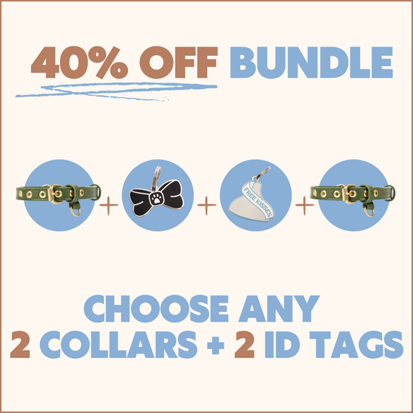 Two Tags + Two Collars Bundle