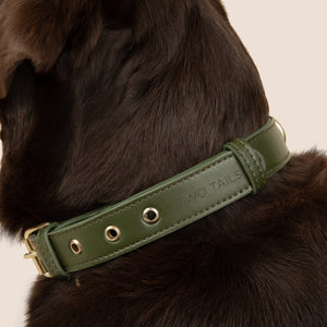 Cactus Leather Collar - Green