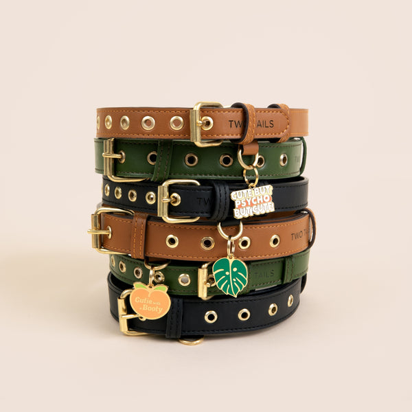 New Pet Parent Starter Kit