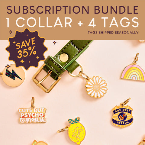 Subscription Bundle