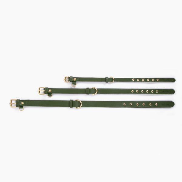 Two Tags + Two Collars Bundle