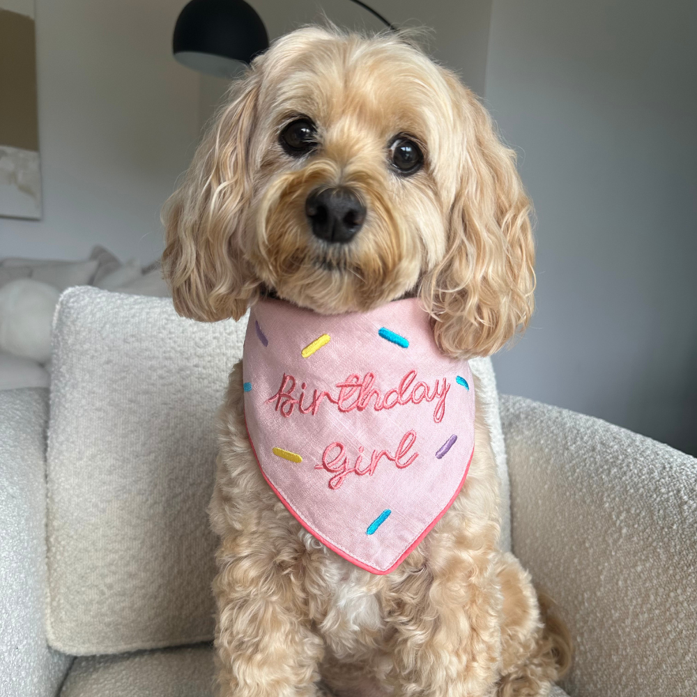 Birthday Girl - Bandana