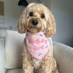 Birthday Girl - Bandana