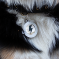 Pet ID Tag Locket